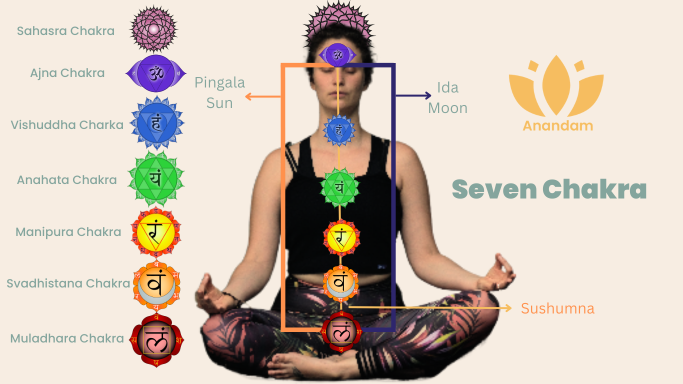 The Seven Chakra
